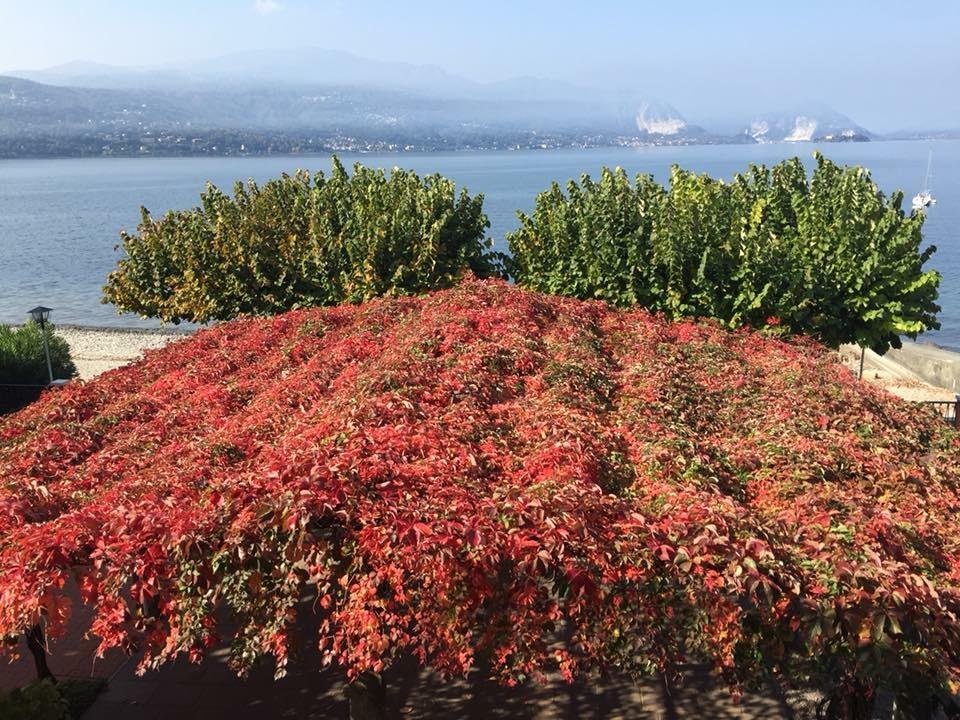 Albergo Riva Reno Di Leggiuno Bagian luar foto